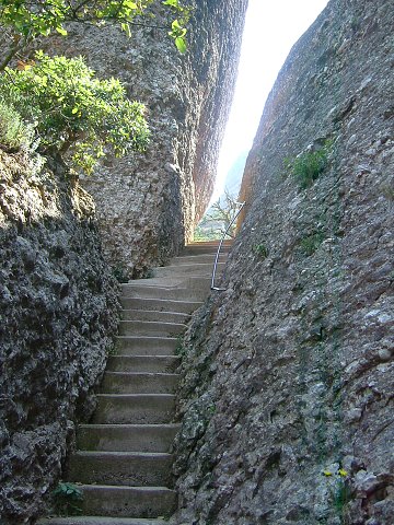 img00029.jpg