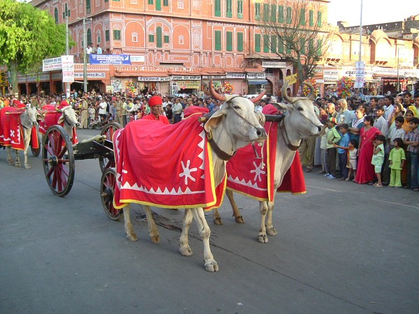 img00154.jpg