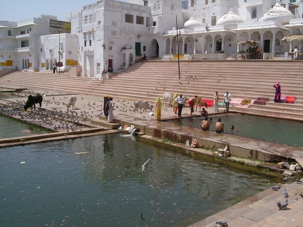 img00159.jpg