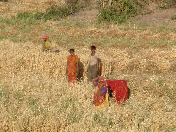 img00087.jpg