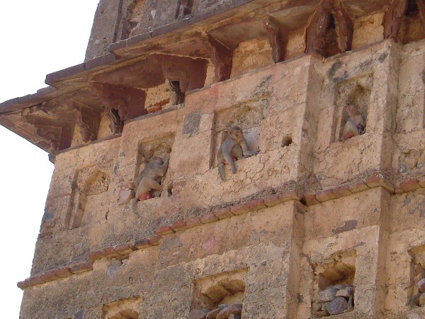 img00078.jpg