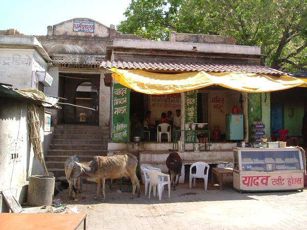 img00056.jpg